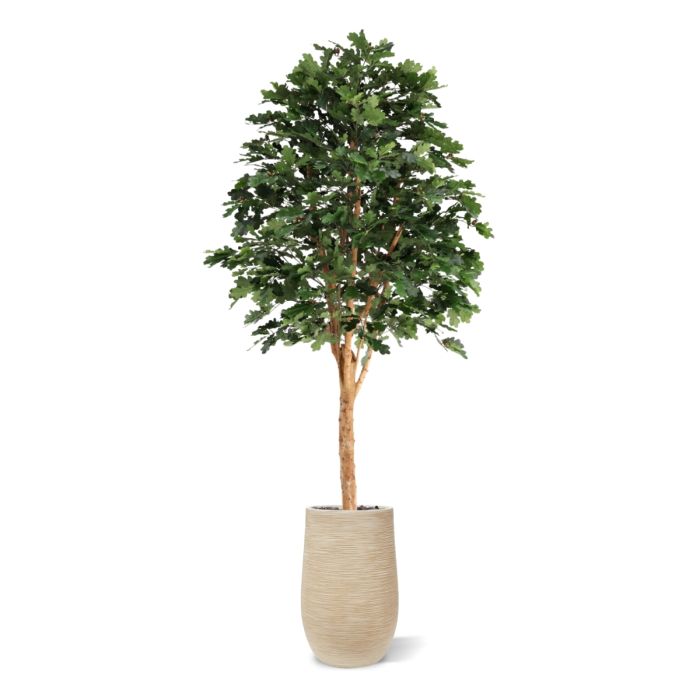 Kunst Eikenboom Deluxe 250cm - NOVA LIGNUM
