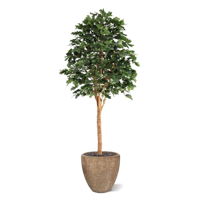 Kunst Eikenboom Deluxe 250cm - NOVA LIGNUM