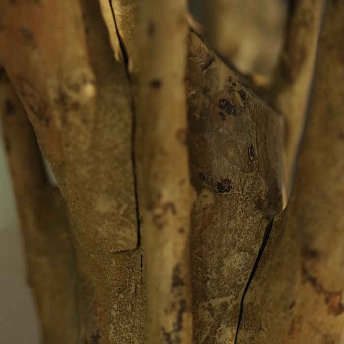 Kunst Eikenboom Deluxe 250cm - NOVA LIGNUM