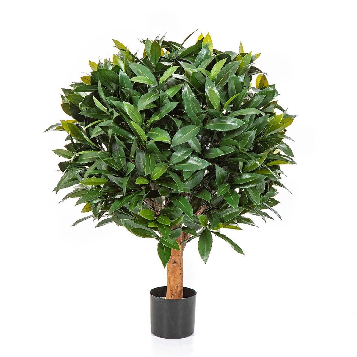 Laurel Ball 50 cm UV - NOVA LIGNUM