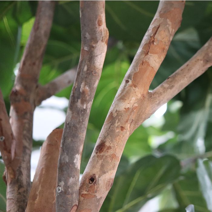 Lyrata Giant Kunstboom Deluxe 420cm - NOVA LIGNUM