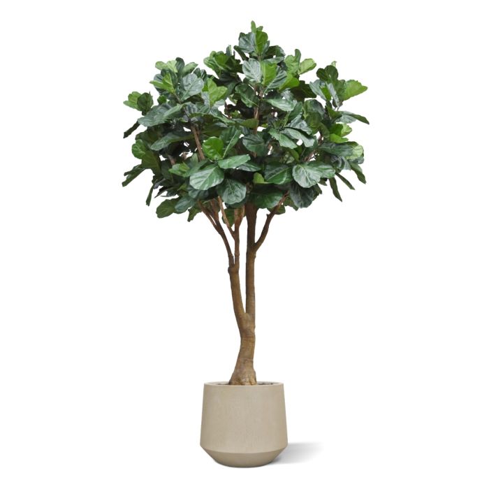 Lyrata Kunstboom Deluxe XXL 350cm - afbeelding 8