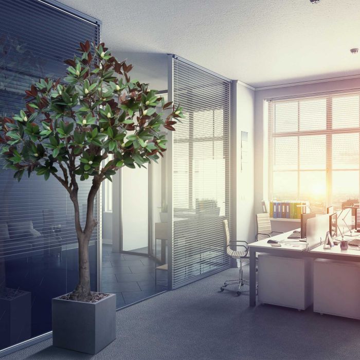Magnolia kunstboom 300cm - NOVA LIGNUM