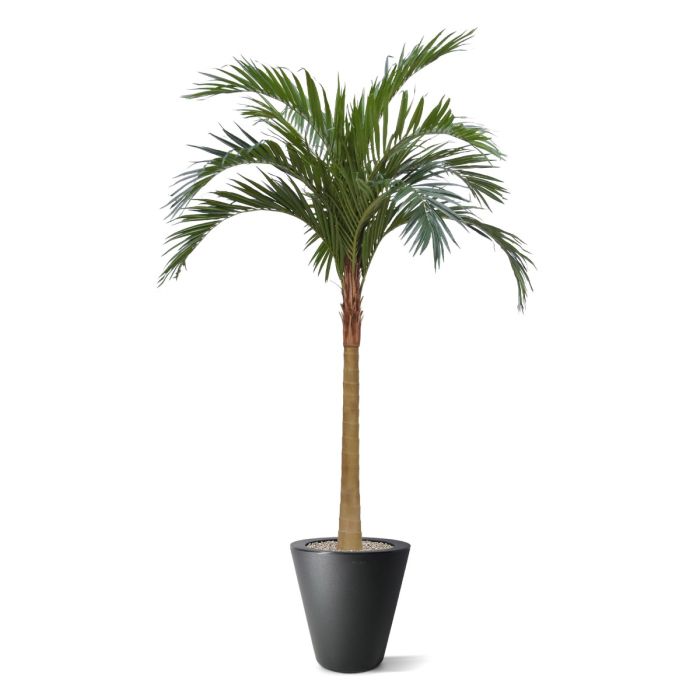 Majesty kunstpalm x10 YG-Trunk 300cm - afbeelding 4