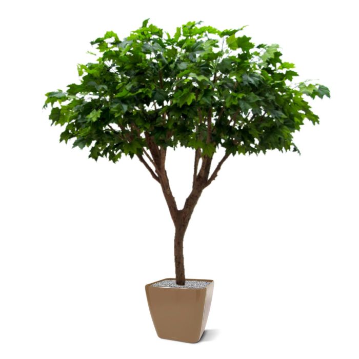Maple deluxe kunstboom 240cm - afbeelding 6