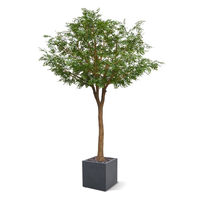 Murraya kunstboom deluxe XXL 370cm - NOVA LIGNUM