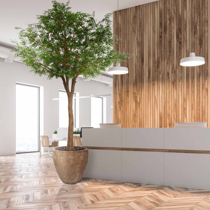 Murraya kunstboom deluxe XXL 370cm - NOVA LIGNUM