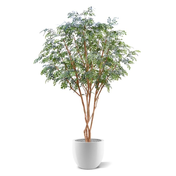 Murraya kunstboom deluxe XL 325cm - afbeelding 4