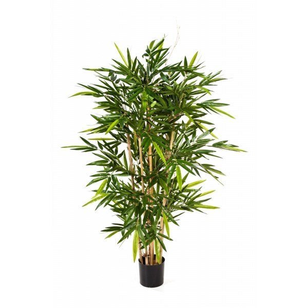 NEW BAMBOO TREE 34605N - NOVA LIGNUM