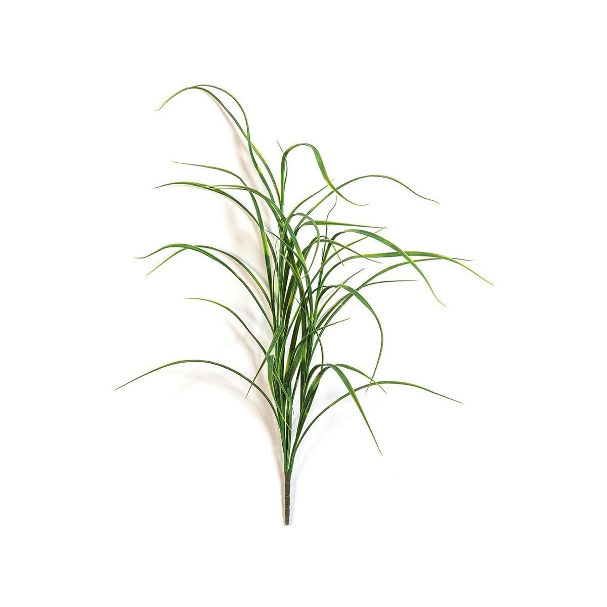 Northwind Grass Bunch - UV - NOVA LIGNUM
