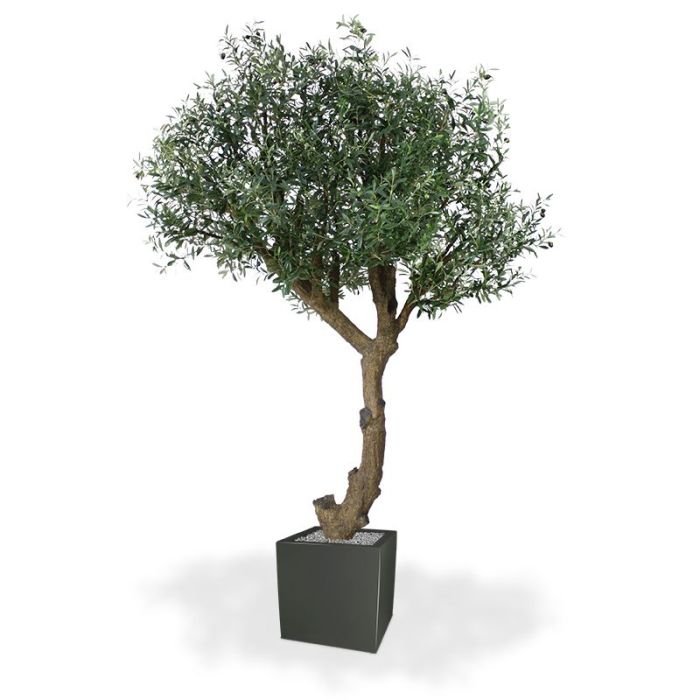 Olijf Giant Y stam kunstboom 270cm - NOVA LIGNUM