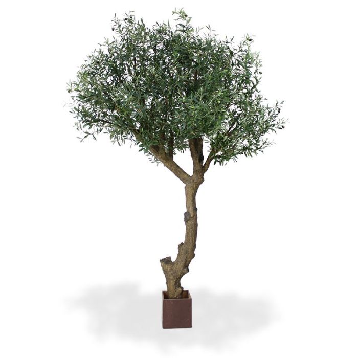 Olijf Giant Y stam kunstboom 270cm - NOVA LIGNUM