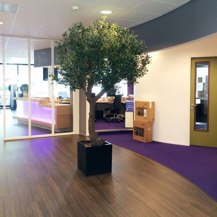 Olijf Giant Y stam kunstboom 270cm - NOVA LIGNUM