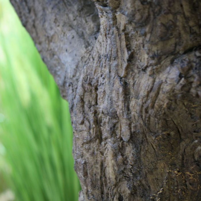 Olijf Giant Y stam kunstboom 270cm - NOVA LIGNUM