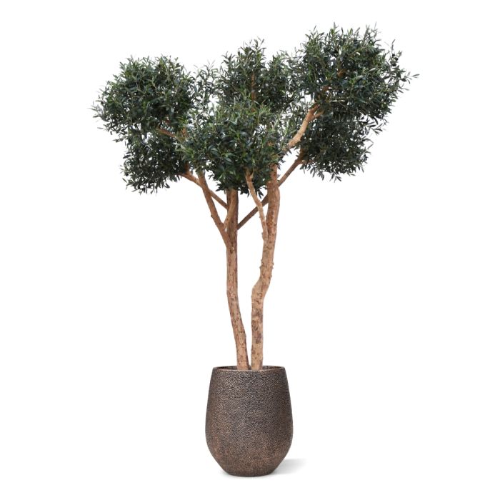 Olijf kunst Bonsai boom Deluxe 250cm - NOVA LIGNUM