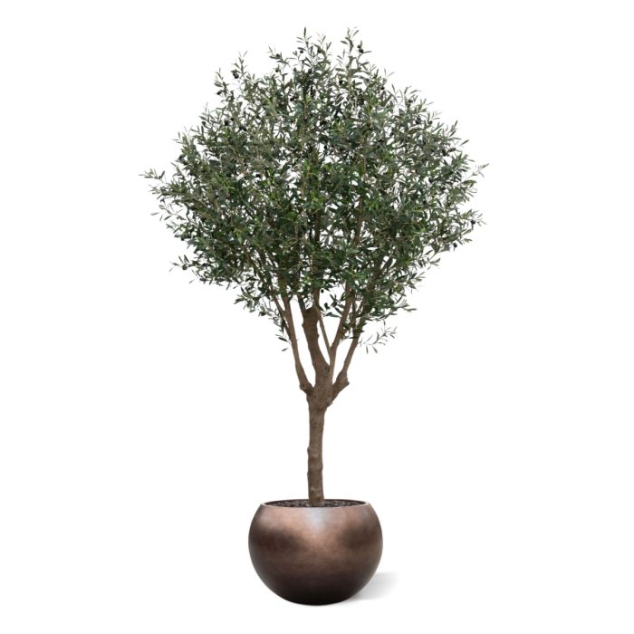 Olijf Kunstboom XL 250cm Deluxe - NOVA LIGNUM