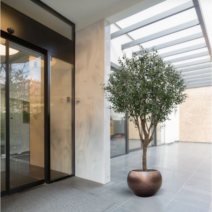 Olijf Kunstboom XL 250cm Deluxe - NOVA LIGNUM