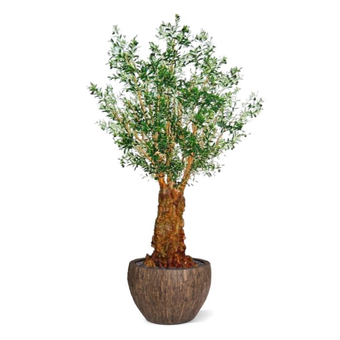 Olijf deluxe kunstboom 290cm - afbeelding 9