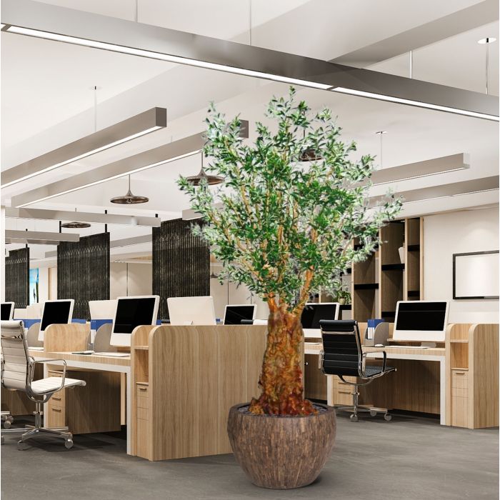 Olijf deluxe kunstboom 290cm - afbeelding 10