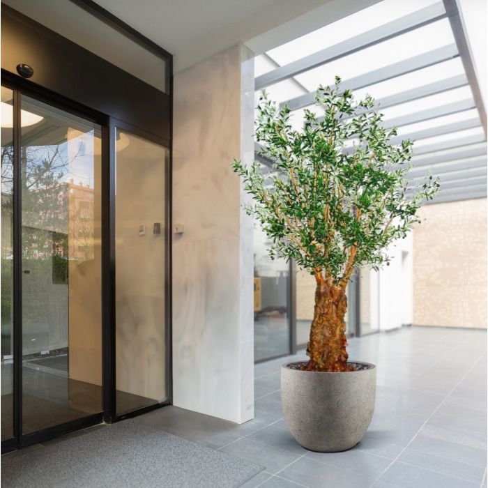 Olijf deluxe kunstboom 290cm - afbeelding 11