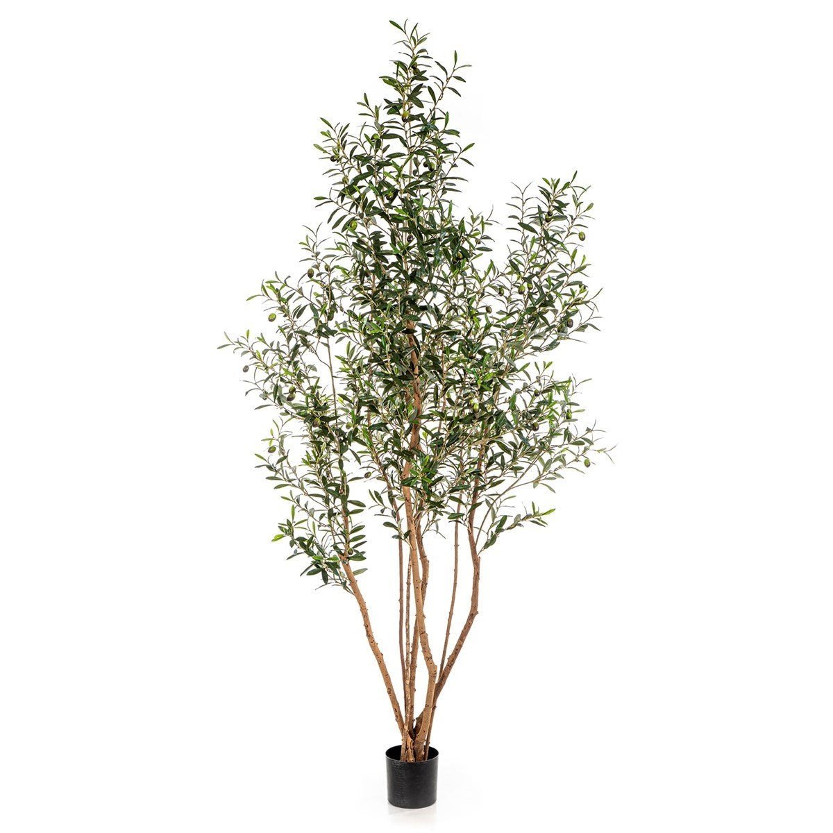 Olive Tree w/Fruits Wild Trunk 28807N - NOVA LIGNUM
