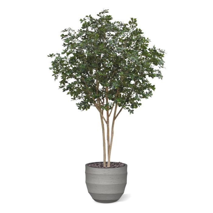 Oriental Olijf Kunstboom Deluxe 310cm - NOVA LIGNUM
