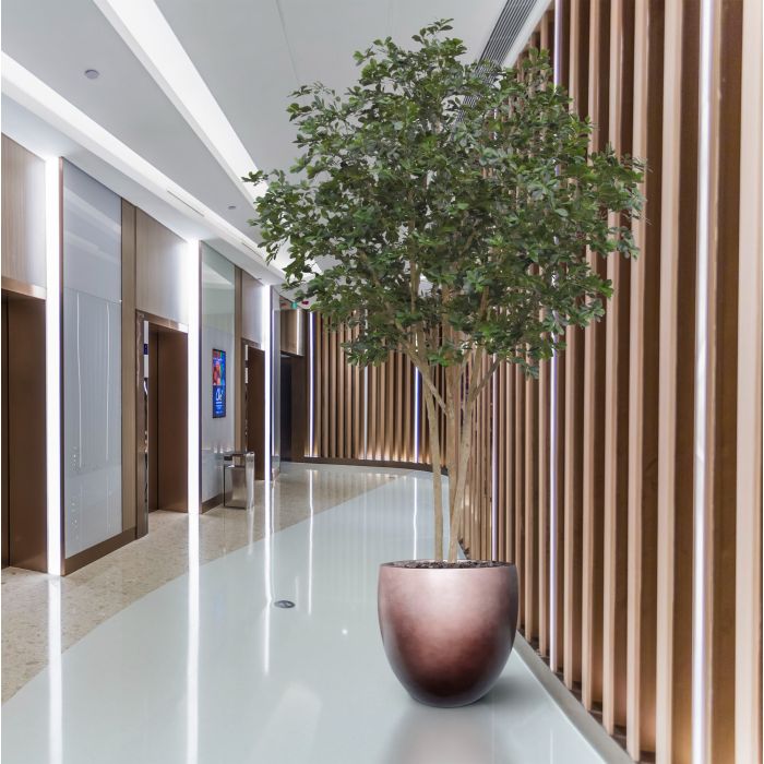 Oriental Olijf Kunstboom Deluxe 310cm - NOVA LIGNUM