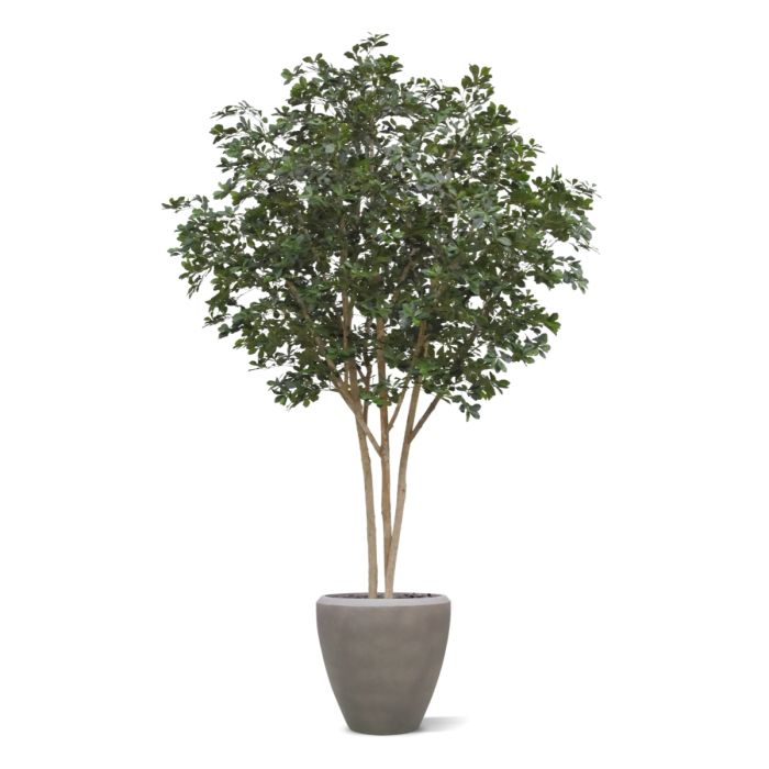 Oriental Olijf Kunstboom Deluxe 310cm - NOVA LIGNUM