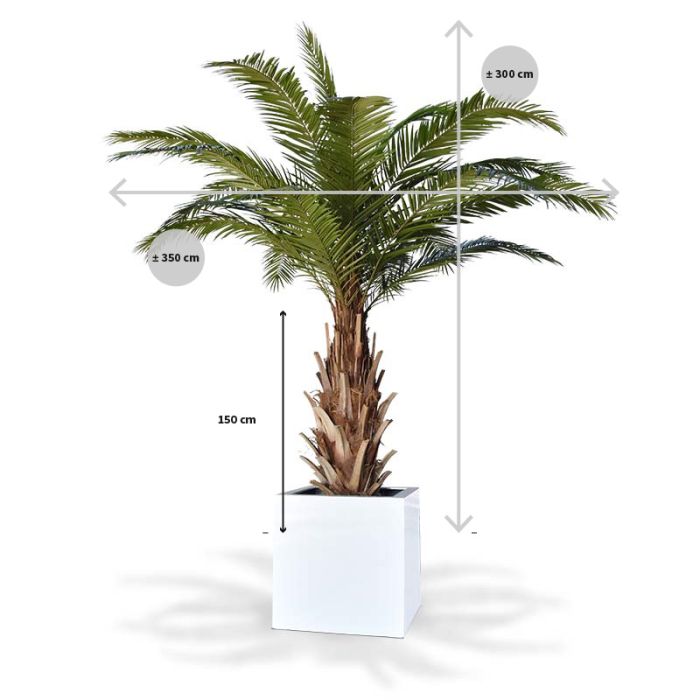 Phoenix Canarie kunstpalm XXL op voet 300cm - NOVA LIGNUM