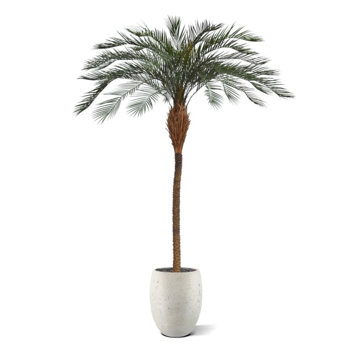 Phoenix kunstpalm deluxe OD 300cm - afbeelding 9