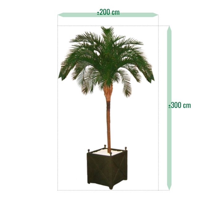 Phoenix kunstpalm deluxe OD 300cm - afbeelding 5