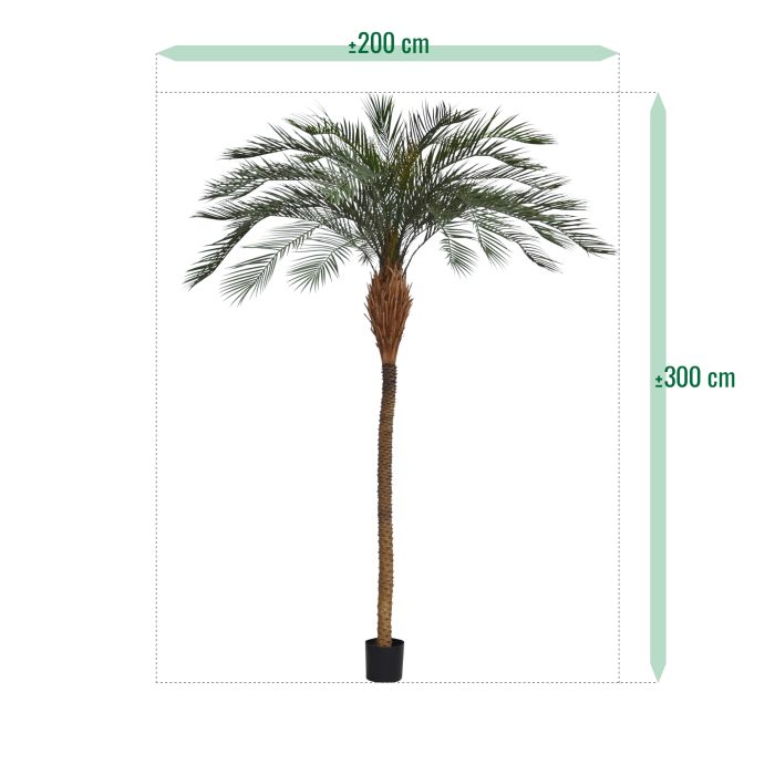 Phoenix kunstpalm deluxe OD 300cm - afbeelding 6