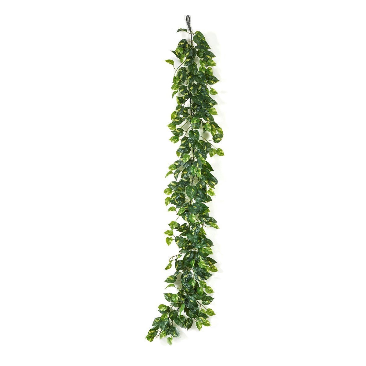 Pothos Garland - NOVA LIGNUM