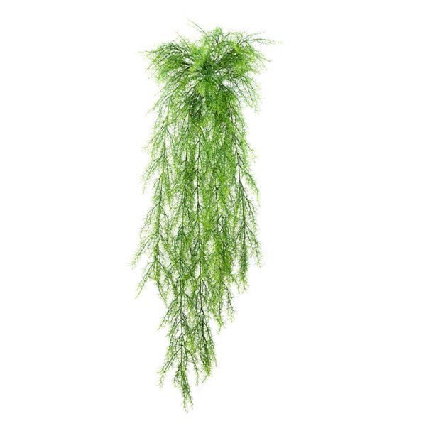 Springeri Hanging Bush x 14 - NOVA LIGNUM