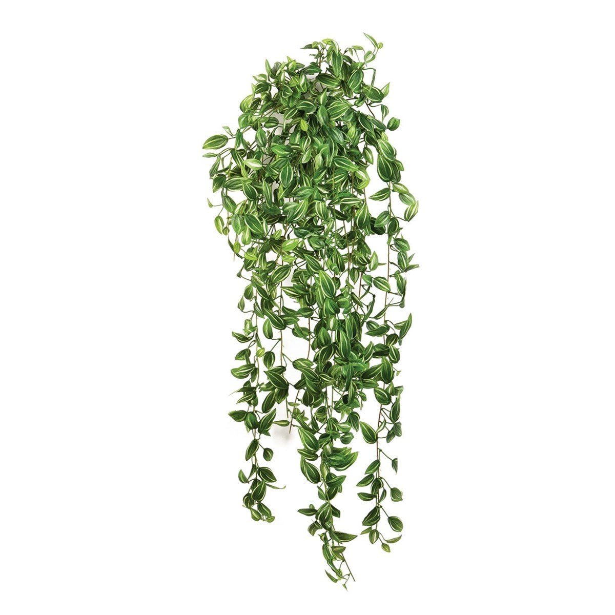 Tradescantia hanging bush - NOVA LIGNUM