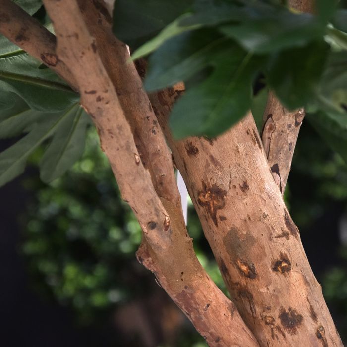 Vijgen Kunstboom Deluxe 250cm - NOVA LIGNUM