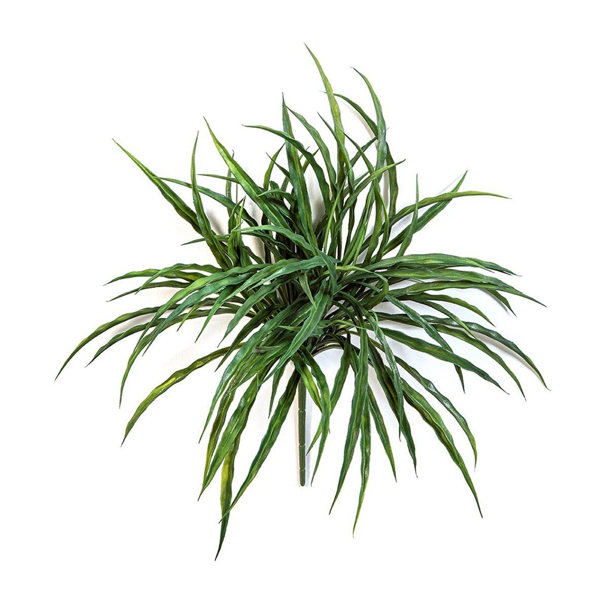 Woodrush Grass Bunch -UV - NOVA LIGNUM