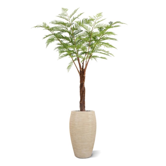 Woodwardia Kunstpalm Deluxe 220cm - NOVA LIGNUM