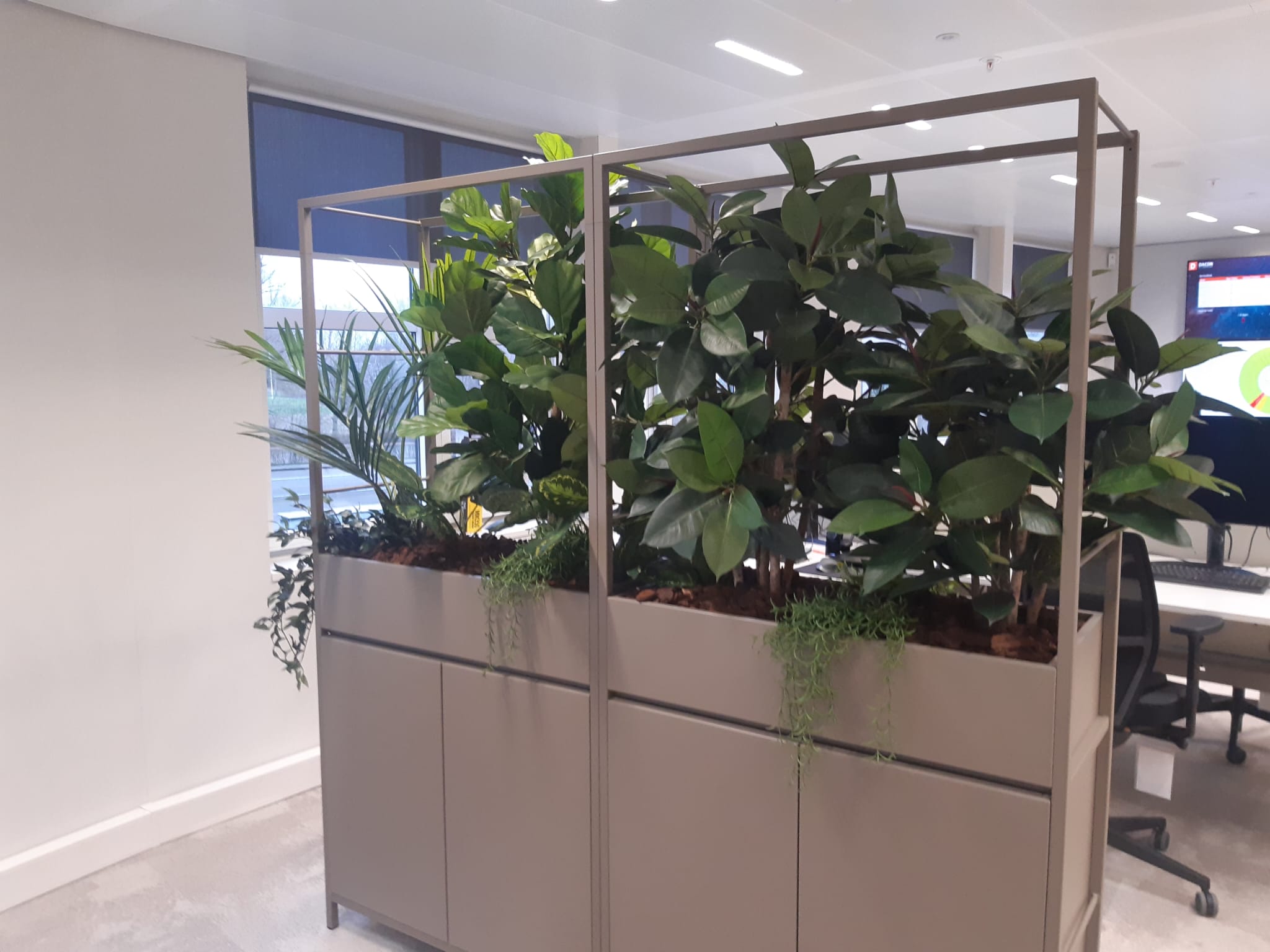 Kunstbomen voor kantoren: 5 voordelen voor een professionele werkomgeving - NOVA LIGNUM