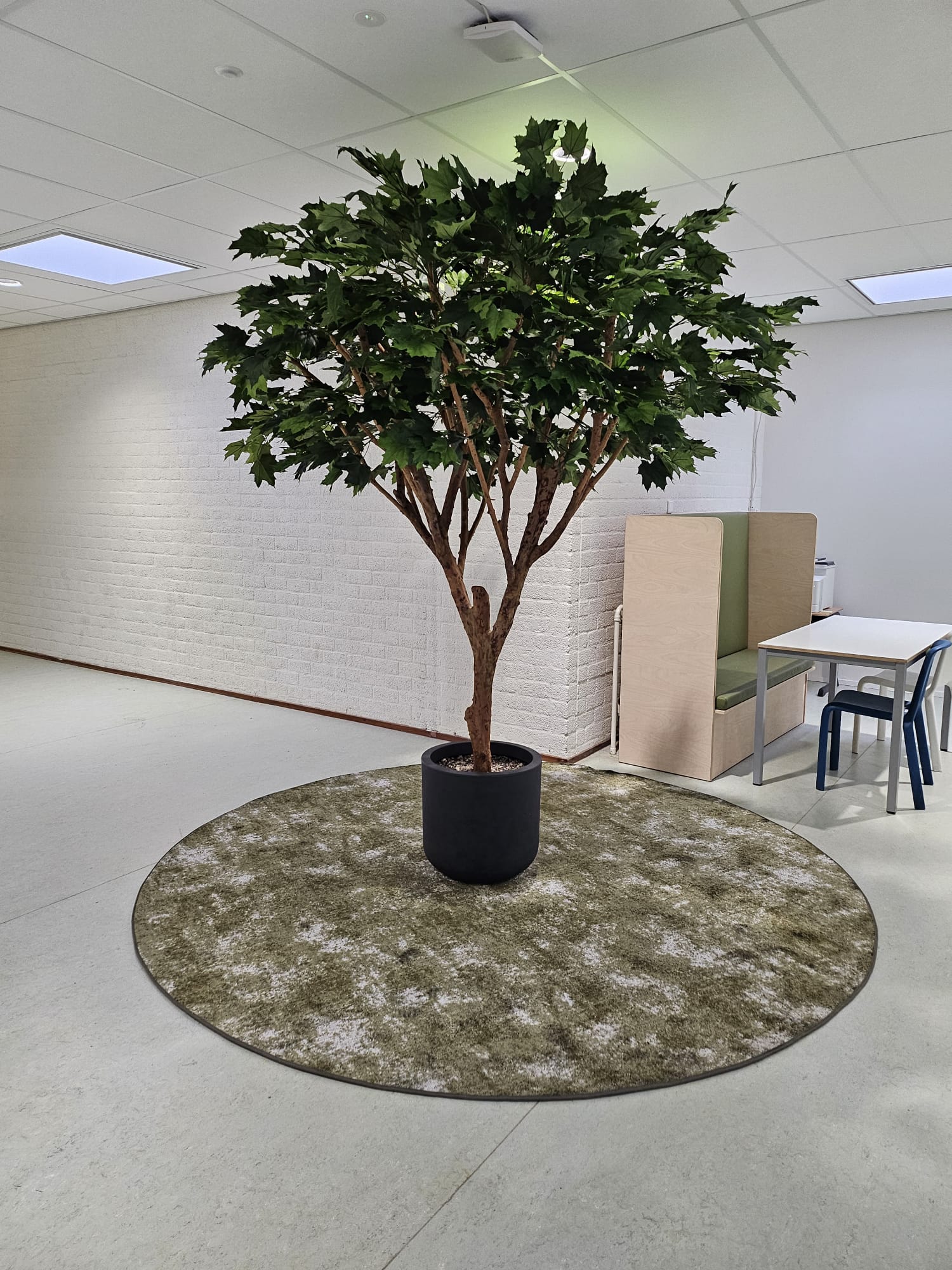 Onderhoud en aanschaf van Kunstplanten en kunstbomen versus echt.