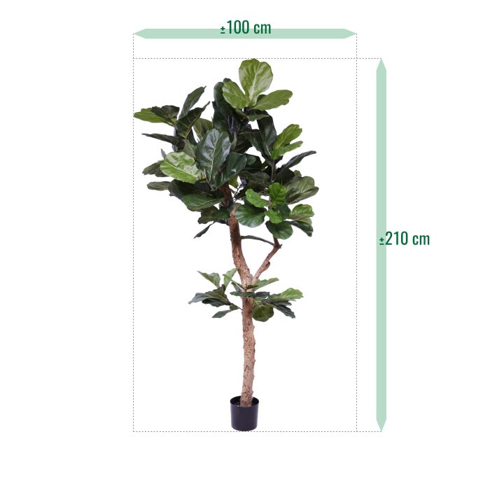 Lyrata Deluxe kunstboom Y stam 210cm - afbeelding 9