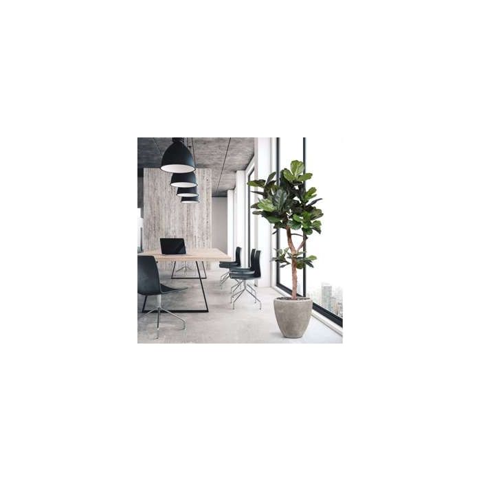 Lyrata Deluxe kunstboom Y stam 210cm - afbeelding 14