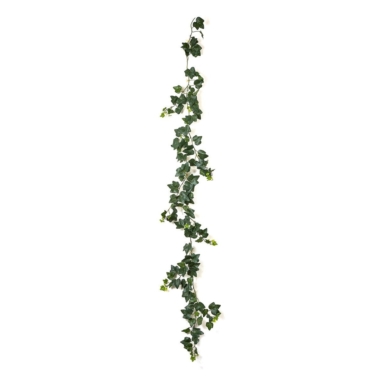 Ivy Garland x 148 - UV