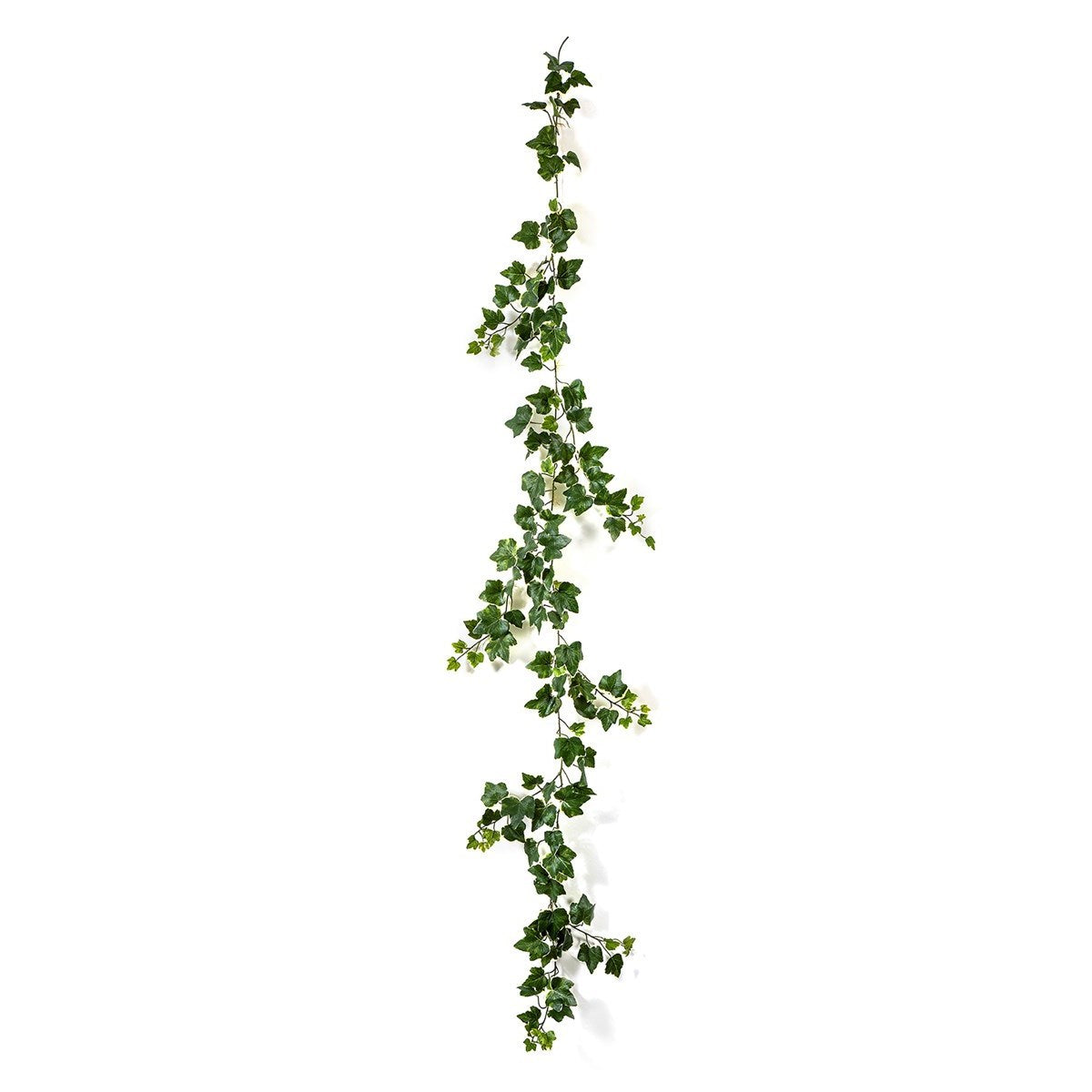 Variegated Ivy Garland x 148 -UV