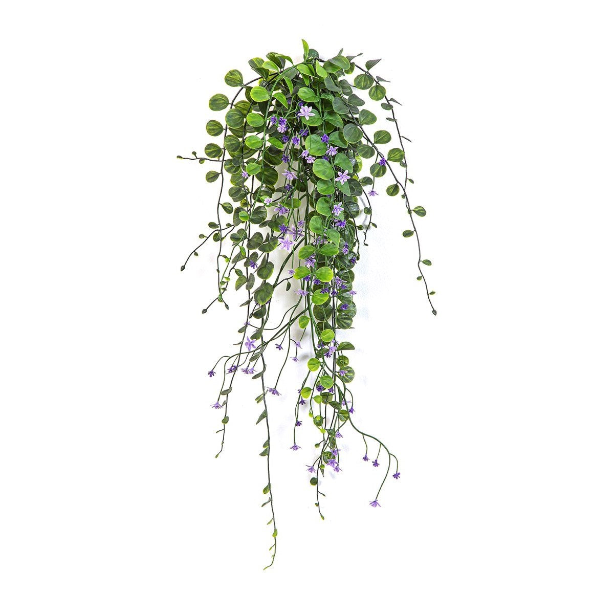 Dichondra Hanging Bush Purple - UV