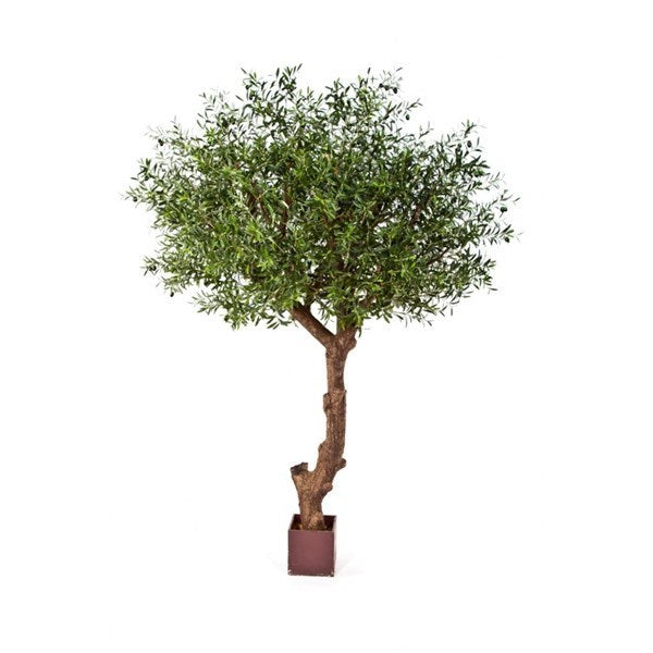 9' Natural Olive Tree Poly Trunk with Fruits