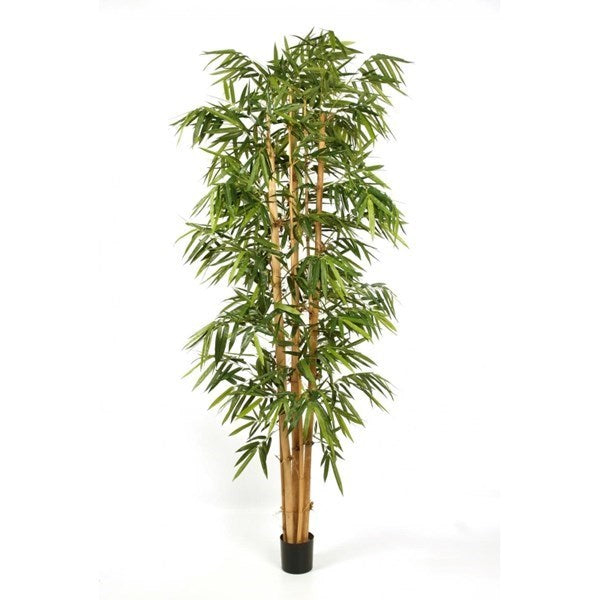 8' NEW GIANT BAMBOO BIG LEAF