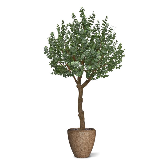 Eucalyptus Kunstboom XL 300cm - afbeelding 3