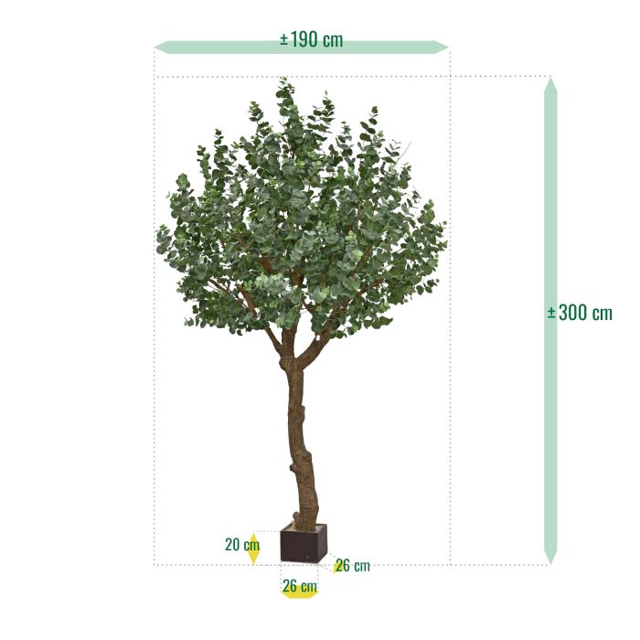 Eucalyptus Kunstboom XL 300cm - afbeelding 11
