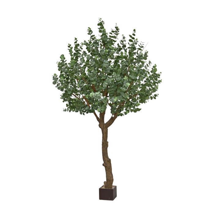 Eucalyptus Kunstboom XL 300cm - afbeelding 12